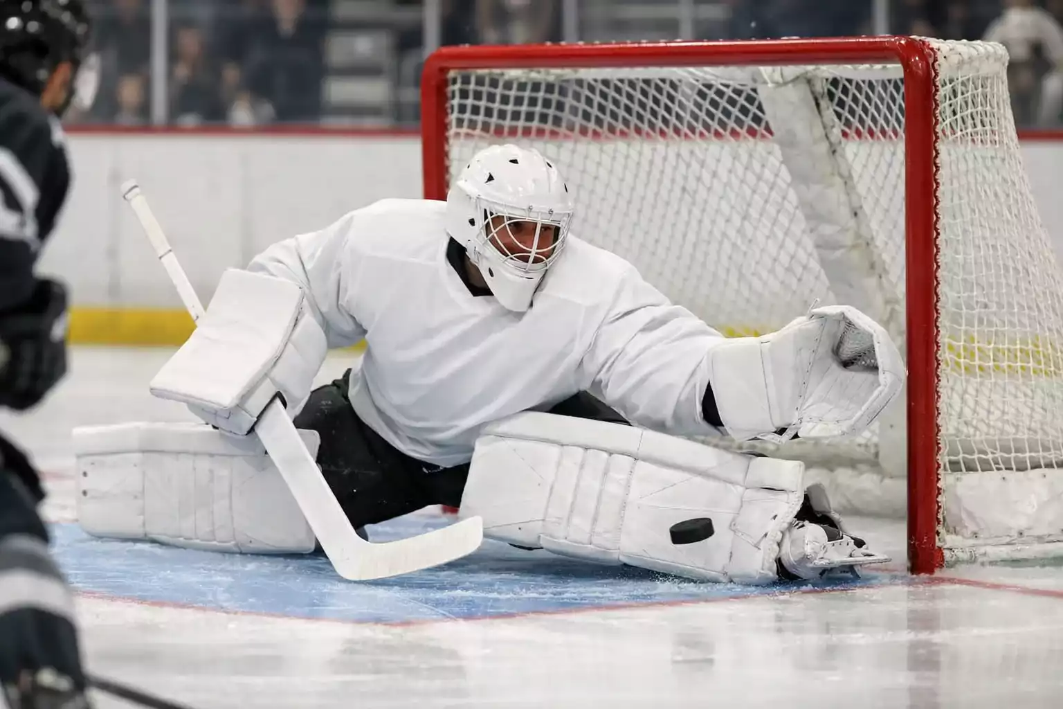 NHL goaltender in full gear making a save during a hockey game